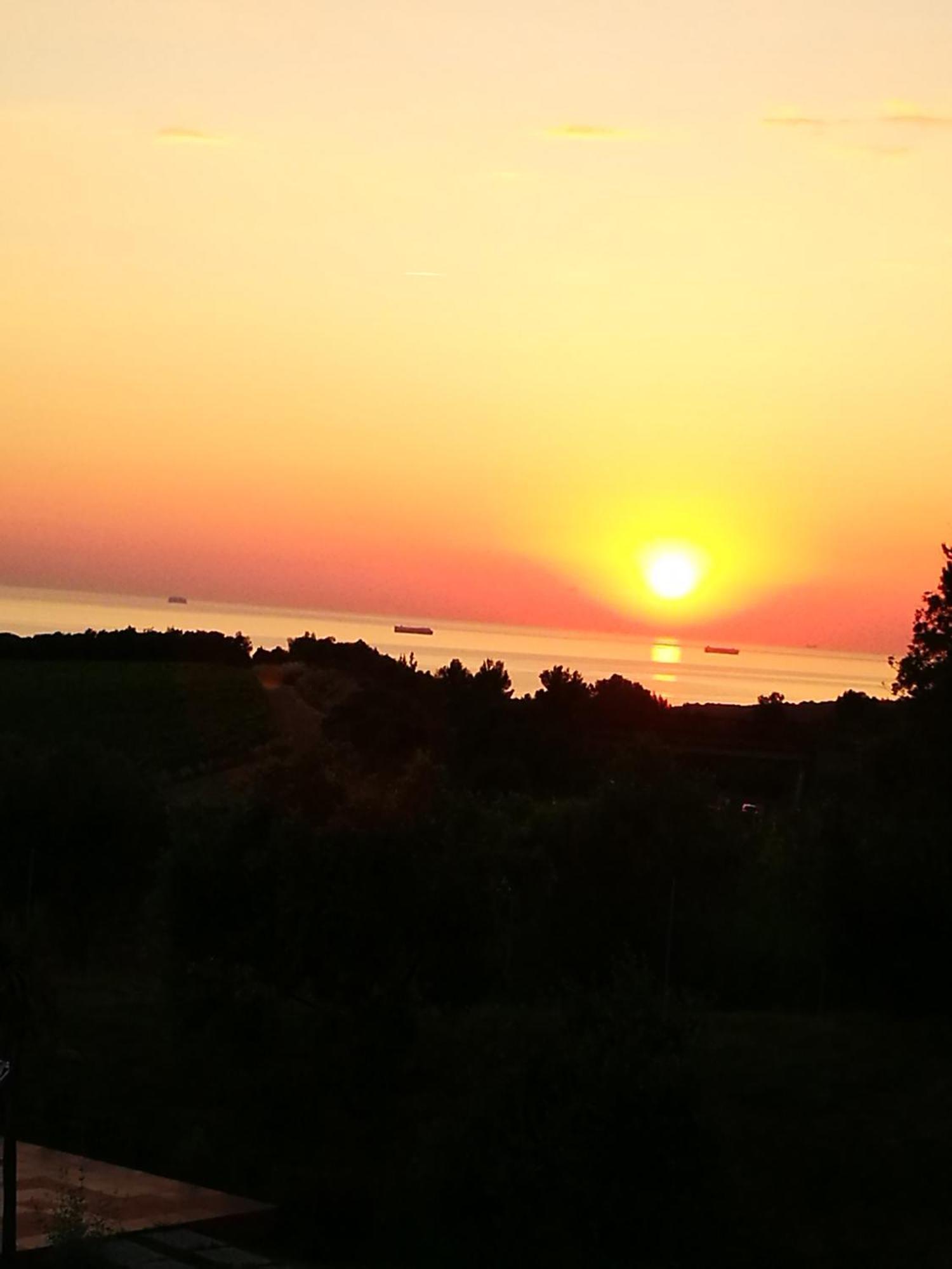 Suite Eleven Castiglioncello Exterior photo